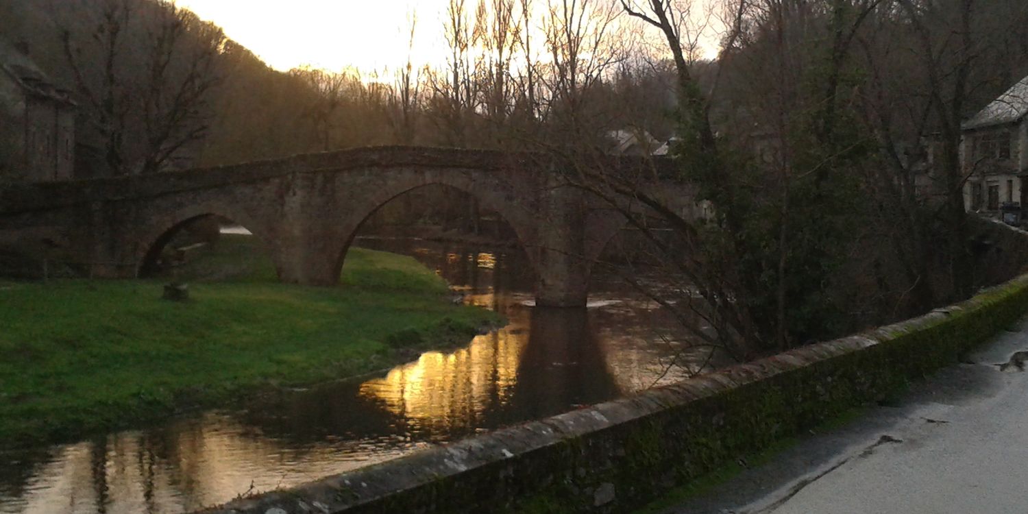 Carine Vernhes banner