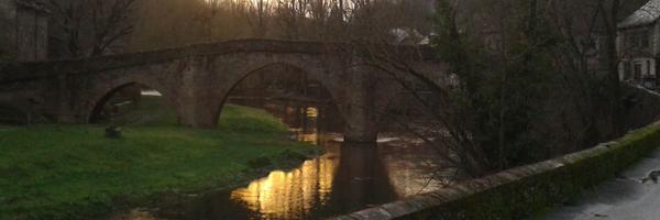 CariVer25 Profile Banner