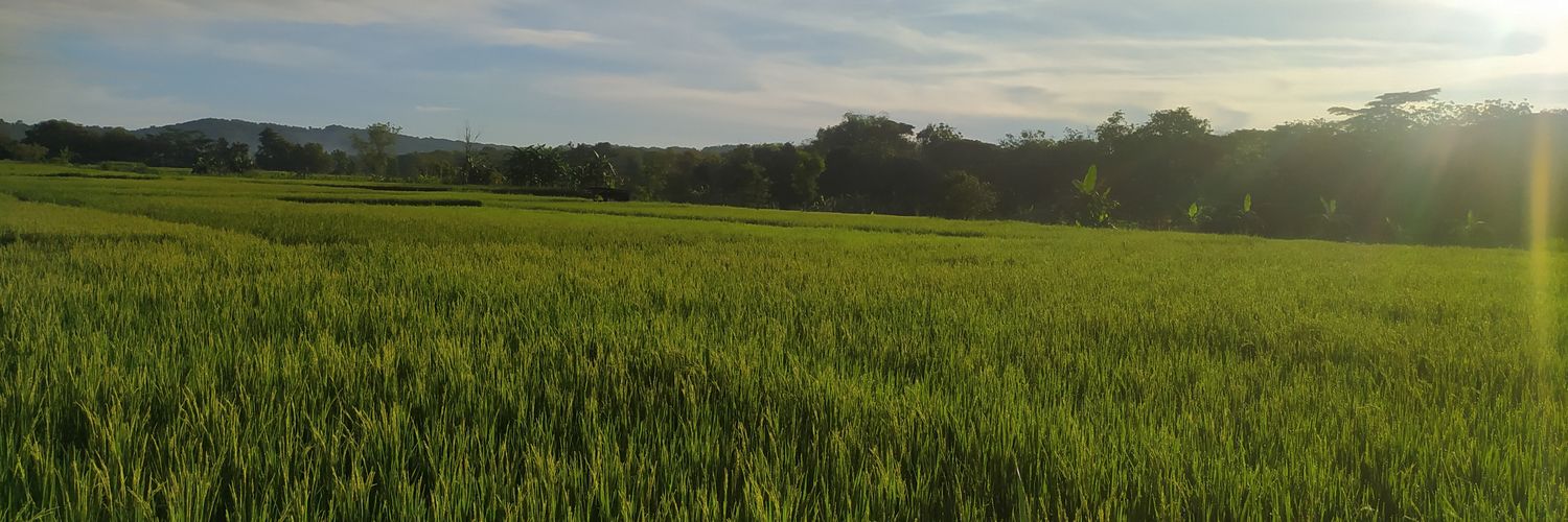 tigaatmojo's profile banner image