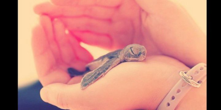 Fakerrbabe_'s profile banner image