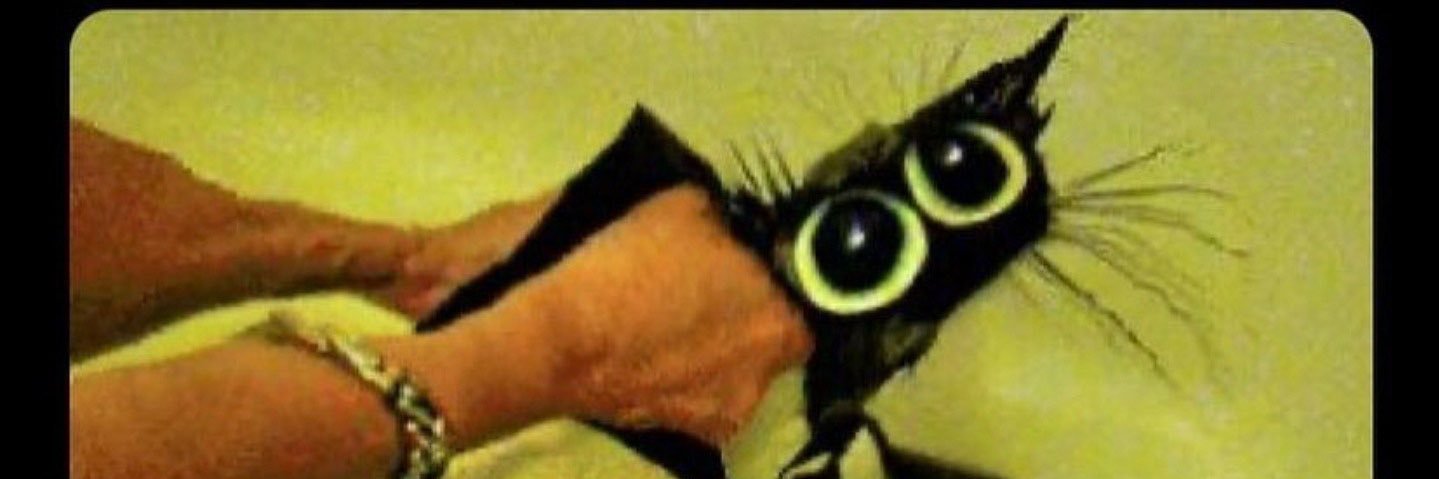actuallymothman's profile banner image
