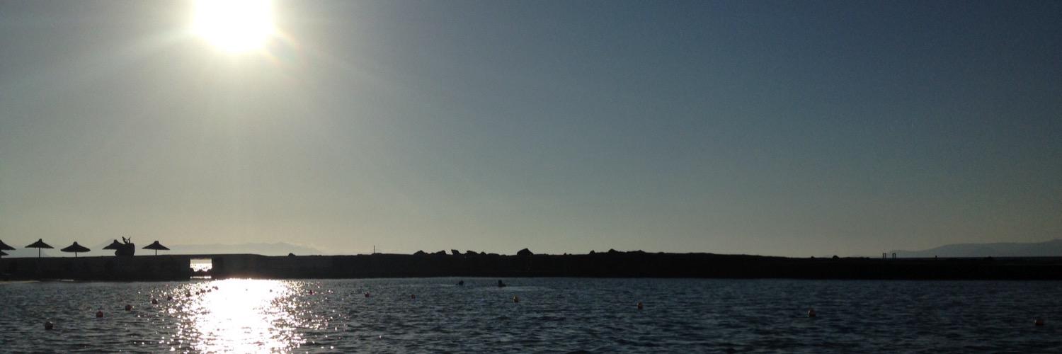 complicatedwasp's profile banner image