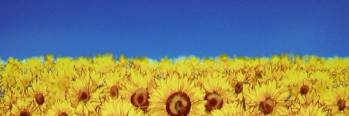 DanRos86's profile banner image