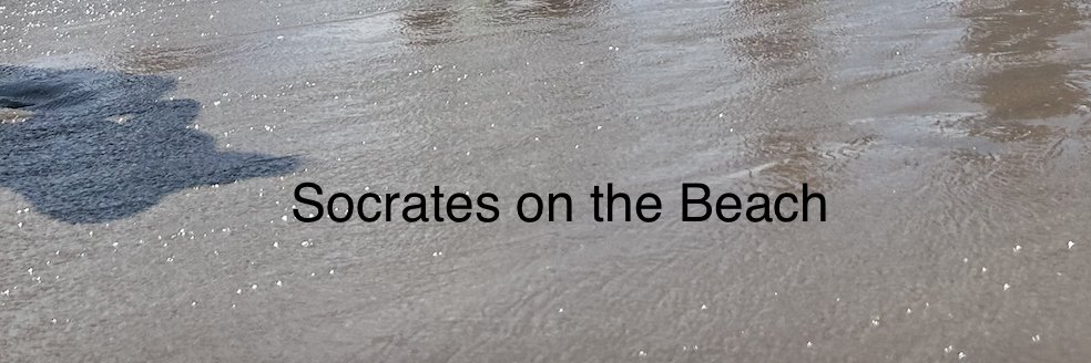 Greg Gerke / Socrates on the Beach's banner