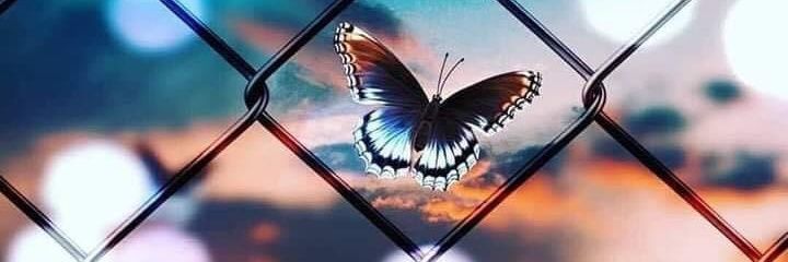 binibiryerde's profile banner image