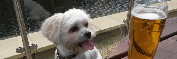 DrJonLippiat Profile Banner