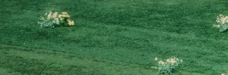 cherpopxx's profile banner image