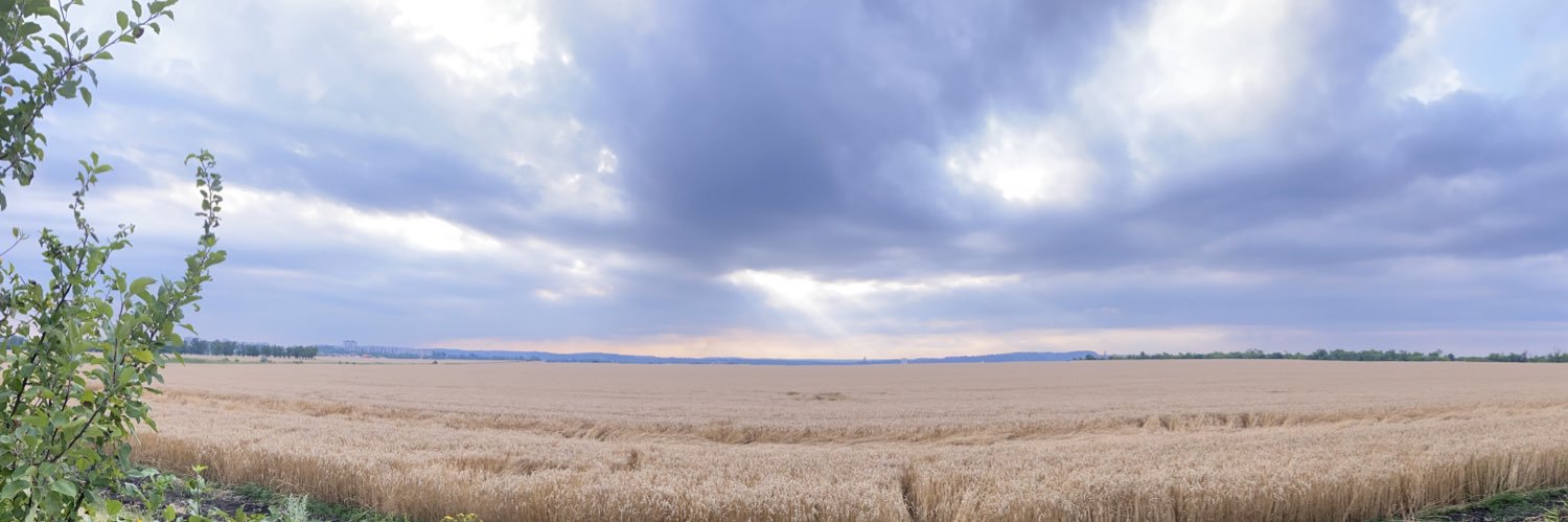 AlexSmolin2303's profile banner image