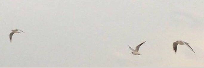 ختم | حياة إيجابية ✨ banner