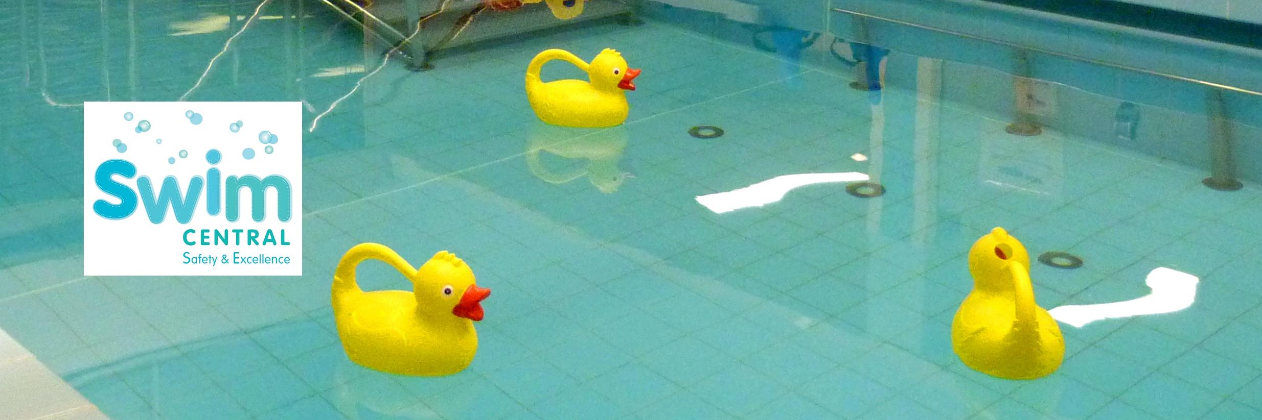 SwimcentralUK's profile banner image