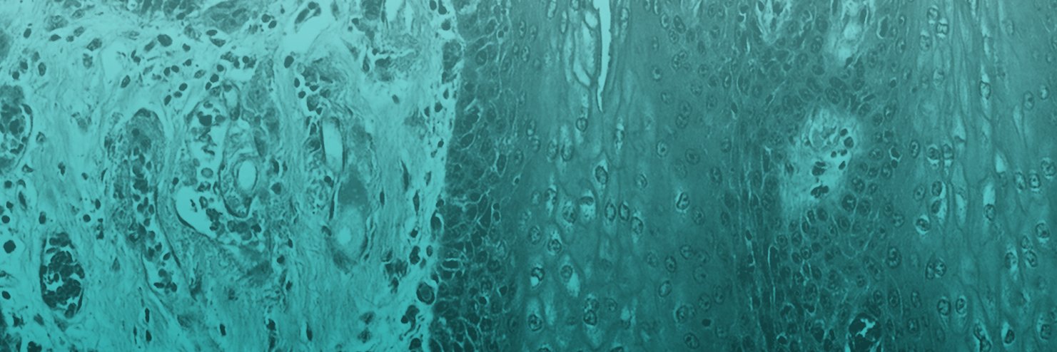 Epigenomes MDPI banner