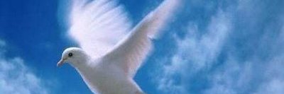 DeisyChaDu's profile banner image