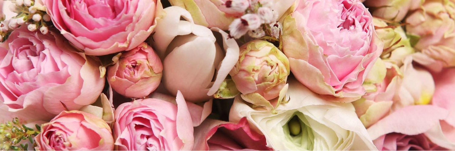 Gajgulja's profile banner image