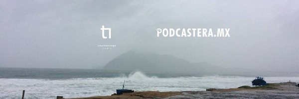 Salmarte Profile Banner
