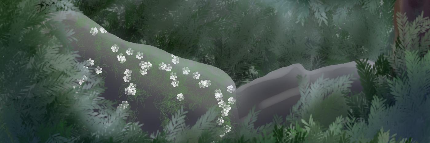 HunterDune's profile banner image