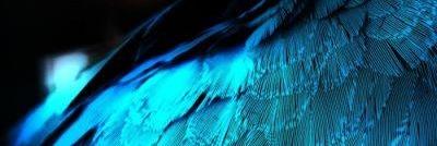 Lady3volte's profile banner image