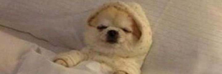 elsmeta's profile banner image