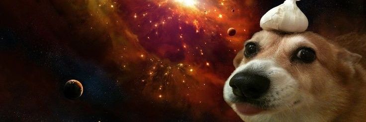 _97_luma's profile banner image