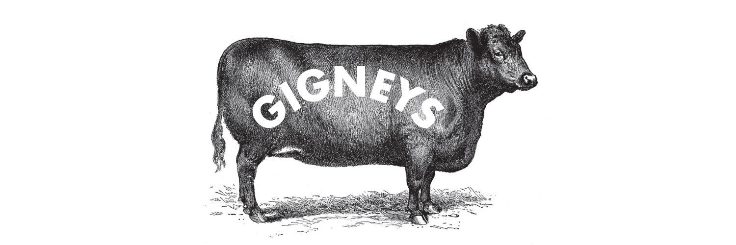 Gigneys's profile banner image