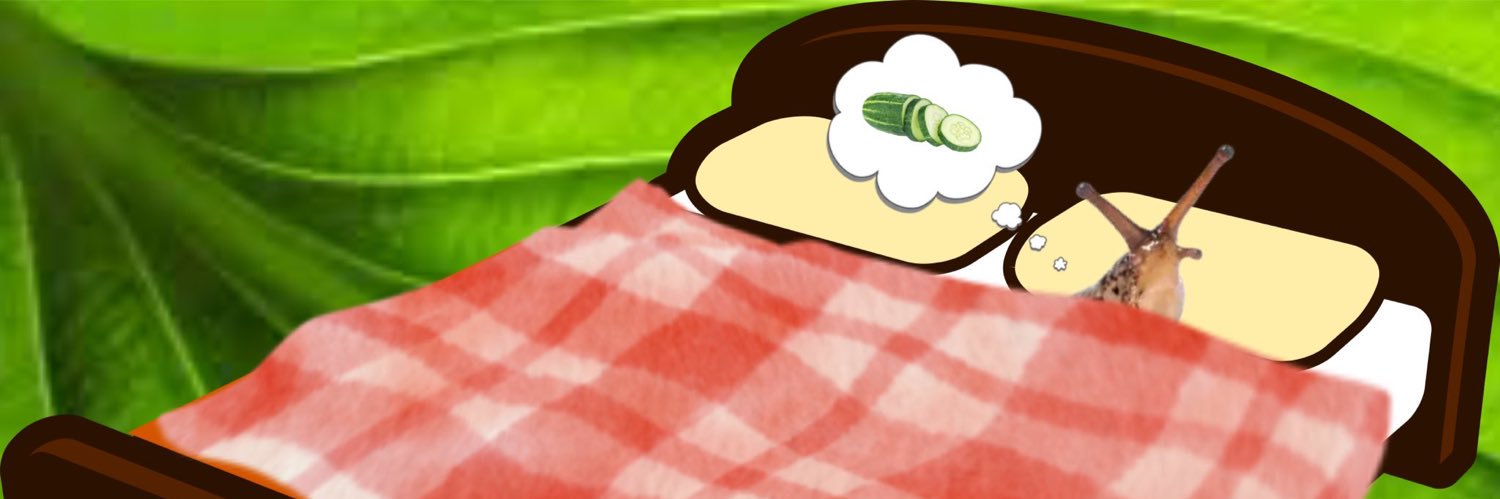 moonxera's profile banner image