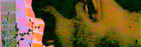 James__Righton Profile Banner