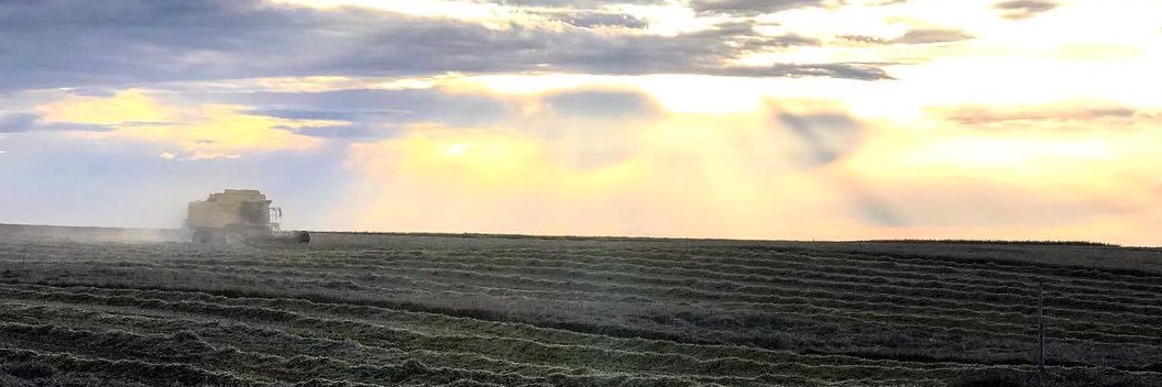 PepetHb's profile banner image