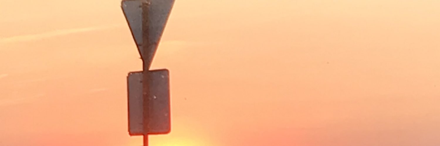 MusPlacebo's profile banner image