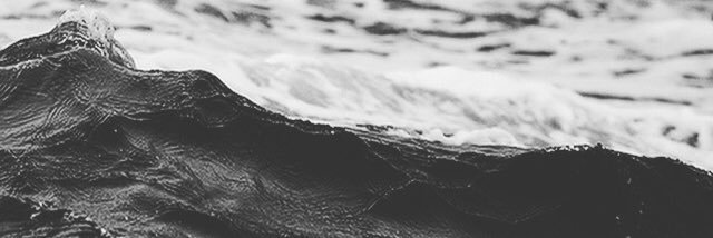 DUNNEFRANKOWSKI banner