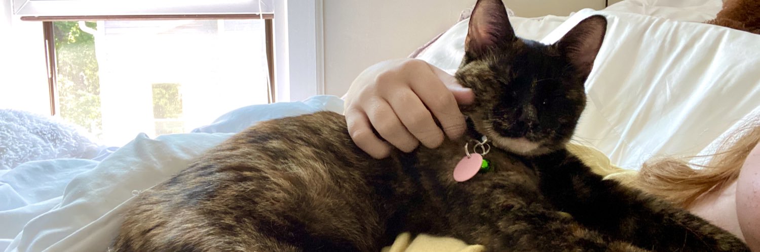 MegKellss's profile banner image