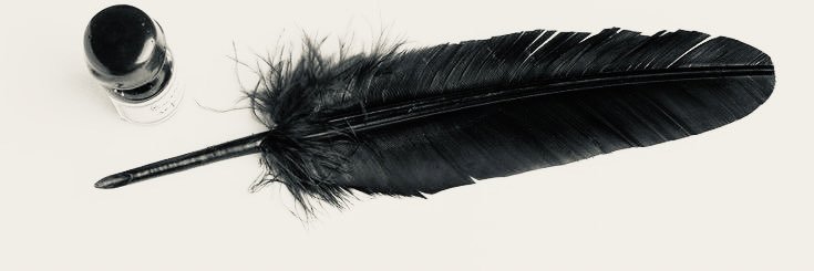 matalynnt's profile banner image