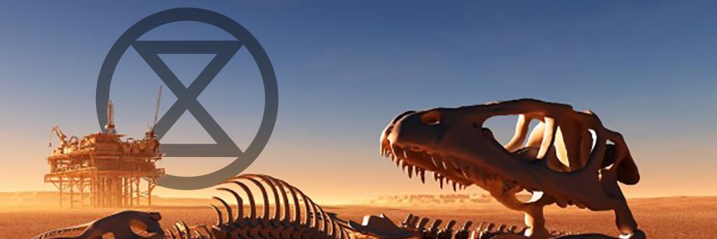 NemoOnTheNet's profile banner image