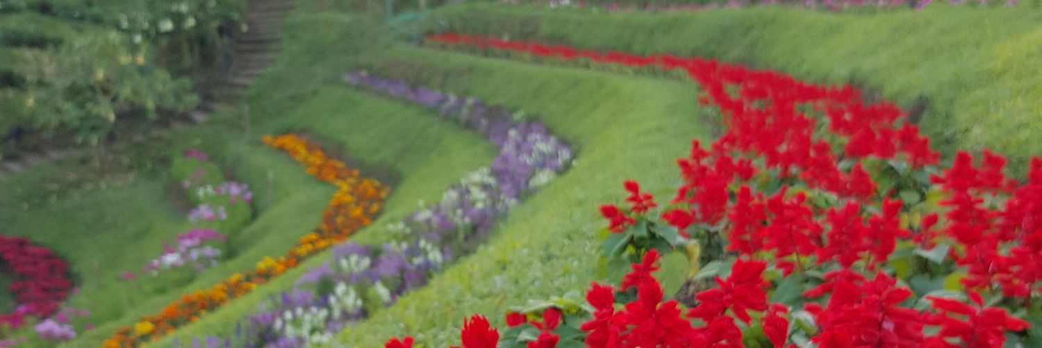 buawow's profile banner image