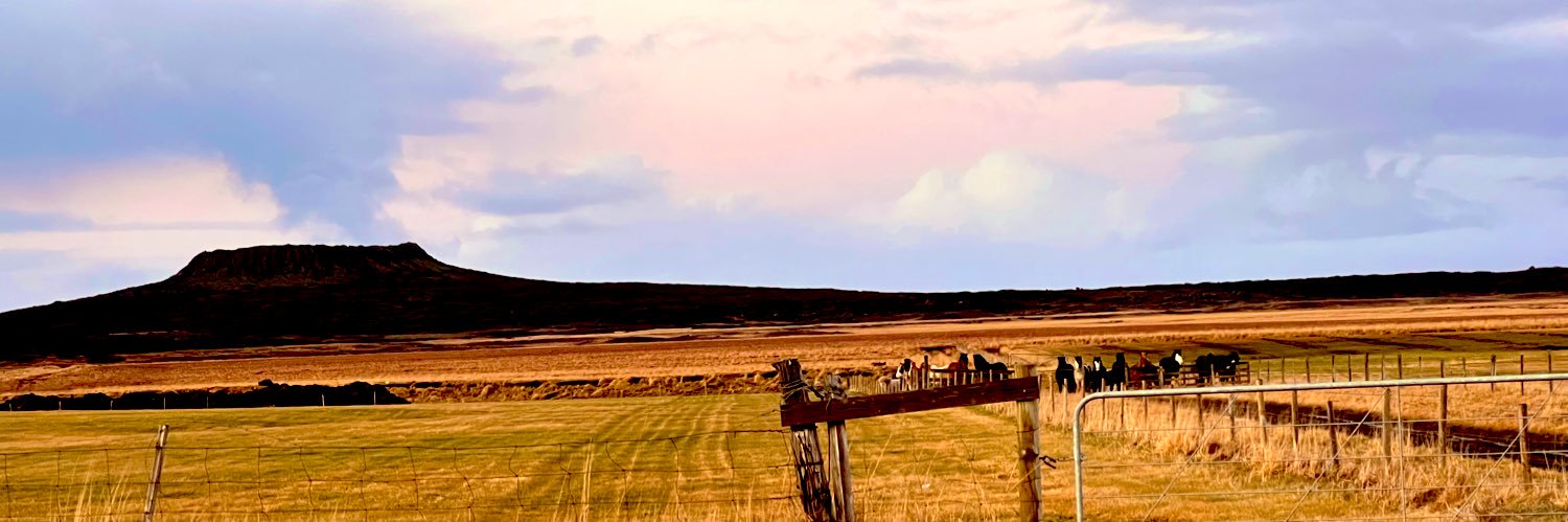 MRafik92's profile banner image