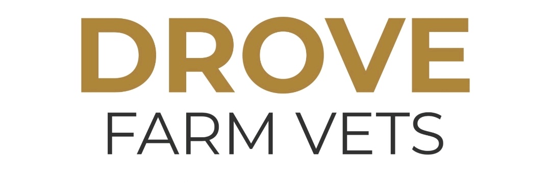 DroveFarmVets's profile banner image