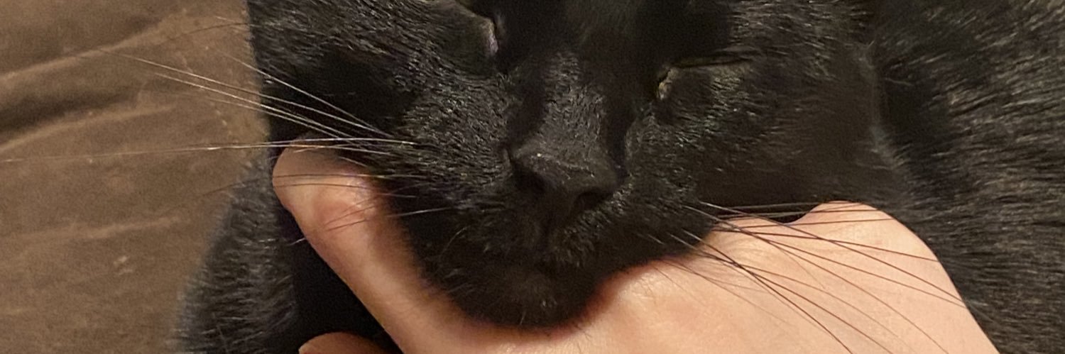 AlexaAncheta's profile banner image