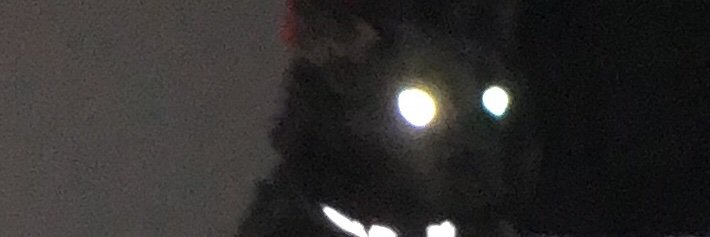 Clawsandall92's profile banner image