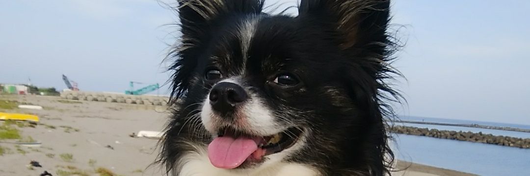 FAMkinako's profile banner image