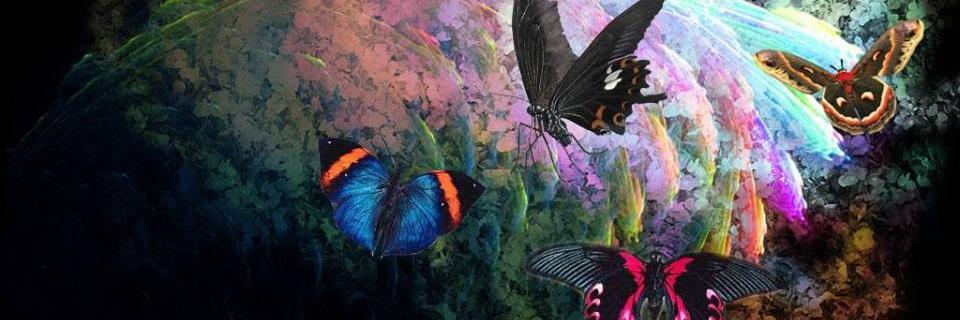 guzinirtem's profile banner image