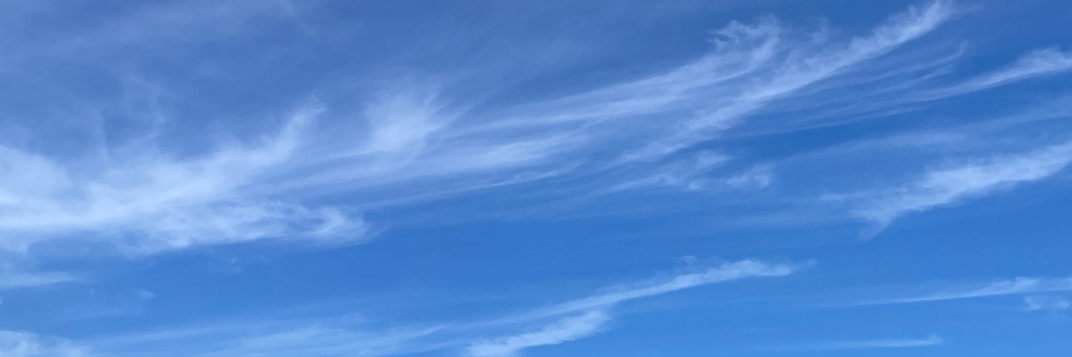 damesara4989's profile banner image