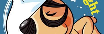 WayneShaoX's profile banner image