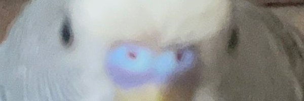 fuscauno Profile Banner