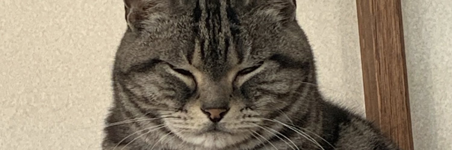 rin___pa____'s profile banner image