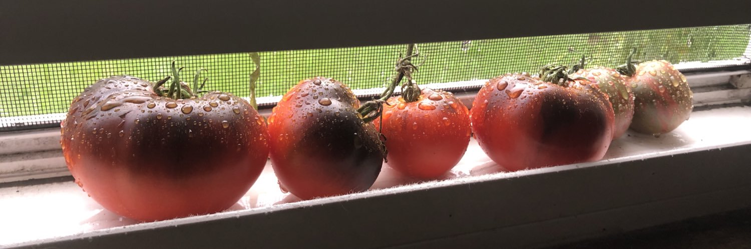 end state violence #UrgencyOfEquity #StopLine5 banner