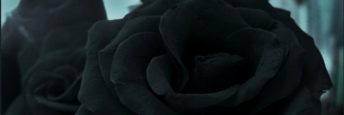 Шало Съть banner