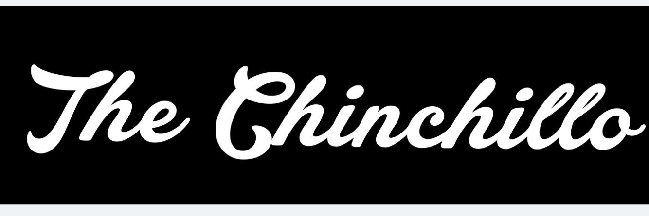 thechinchillo's profile banner image