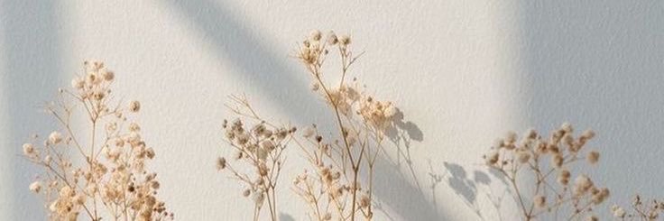 treasure_mytype's profile banner image