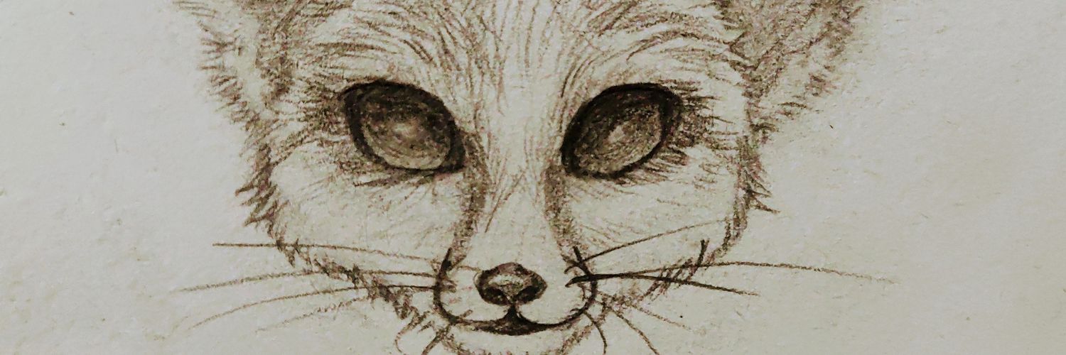 Vilasekn's profile banner image