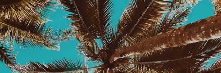 agus_abann's profile banner image