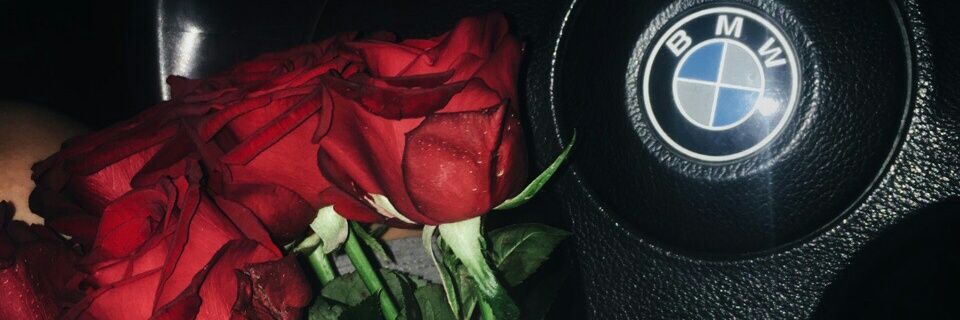 Lin_1606's profile banner image