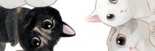 yovays's profile banner image